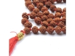 Rudraksh Mala Beads Pachmukhi