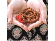 Rudraksh Mala Beads Pachmukhi